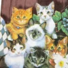 Servietter katte 20-pak