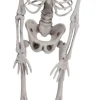 Skelet 42 cm