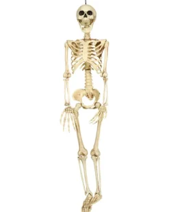 Skelet 90 cm